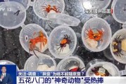 仁寿@铲屎官们 养“异宠”或危害国家安全 这些行为违法了