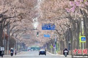 仁寿共建“花园城市” 北京这场议政会“百花齐放”