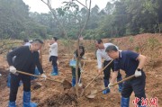 仁寿广州已打造首批32处“绿美宗教活动场所”