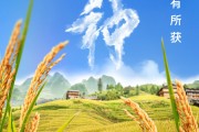 仁寿芒种节气小知识来了 夏种作物都有什么？