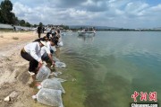 仁寿云南江川举行增殖放流活动 逾54万尾鱼游入星云湖