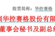 仁寿华控赛格董事长、董秘、副总经理三高管同日辞职